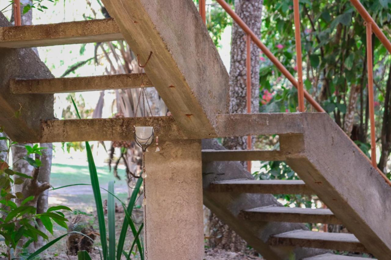 Chale Sossego E Casa Flora Villa Alto Paraíso de Goiás Buitenkant foto